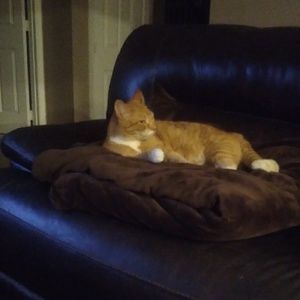 Meet your Posher, Kevin